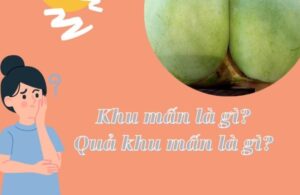 quả khu mấn