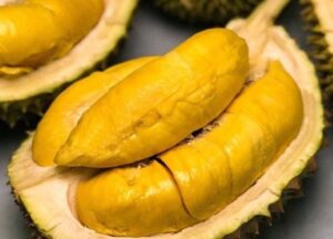 sầu riêng