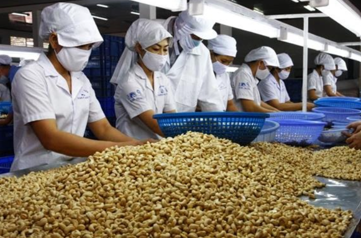 xuất khẩu hạt điều