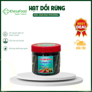 Hạt Dổi Rừng – Hương Vị Đặc Trưng, Tăng Cường Sức Khỏe
